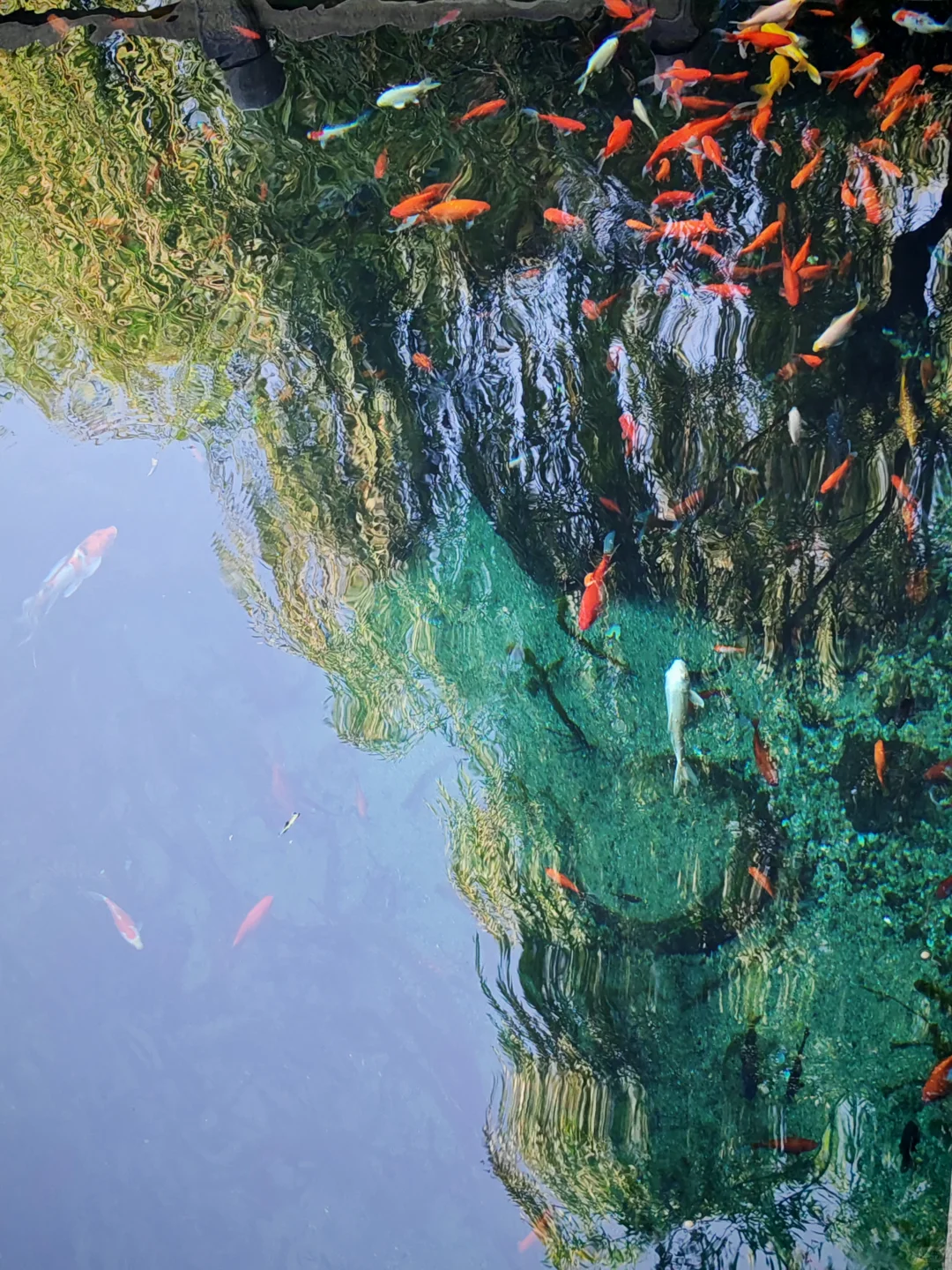 去之前不期待但后劲很大的城市｜看泉一日游