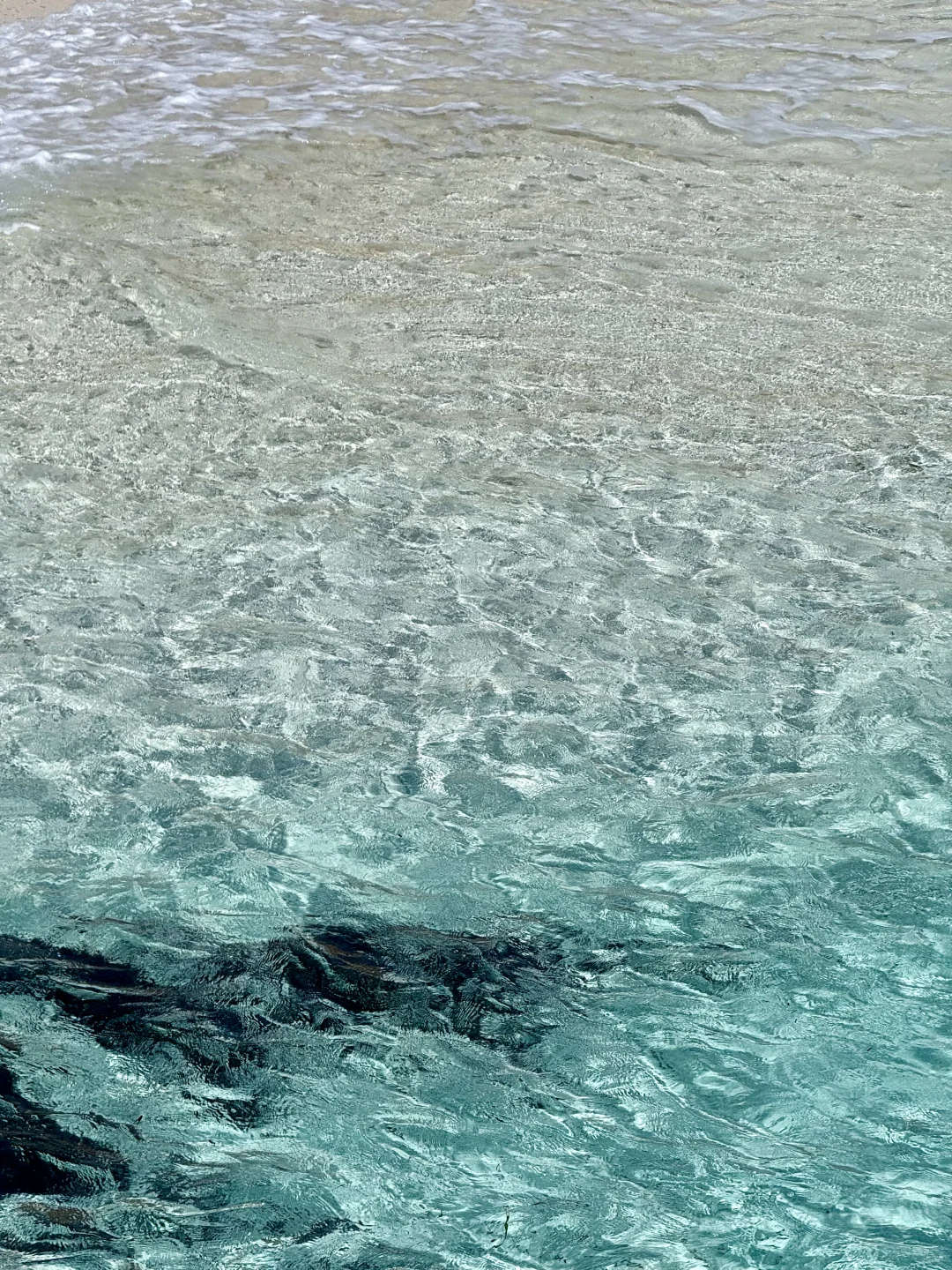 埃及的海！真的已经Next Level了…