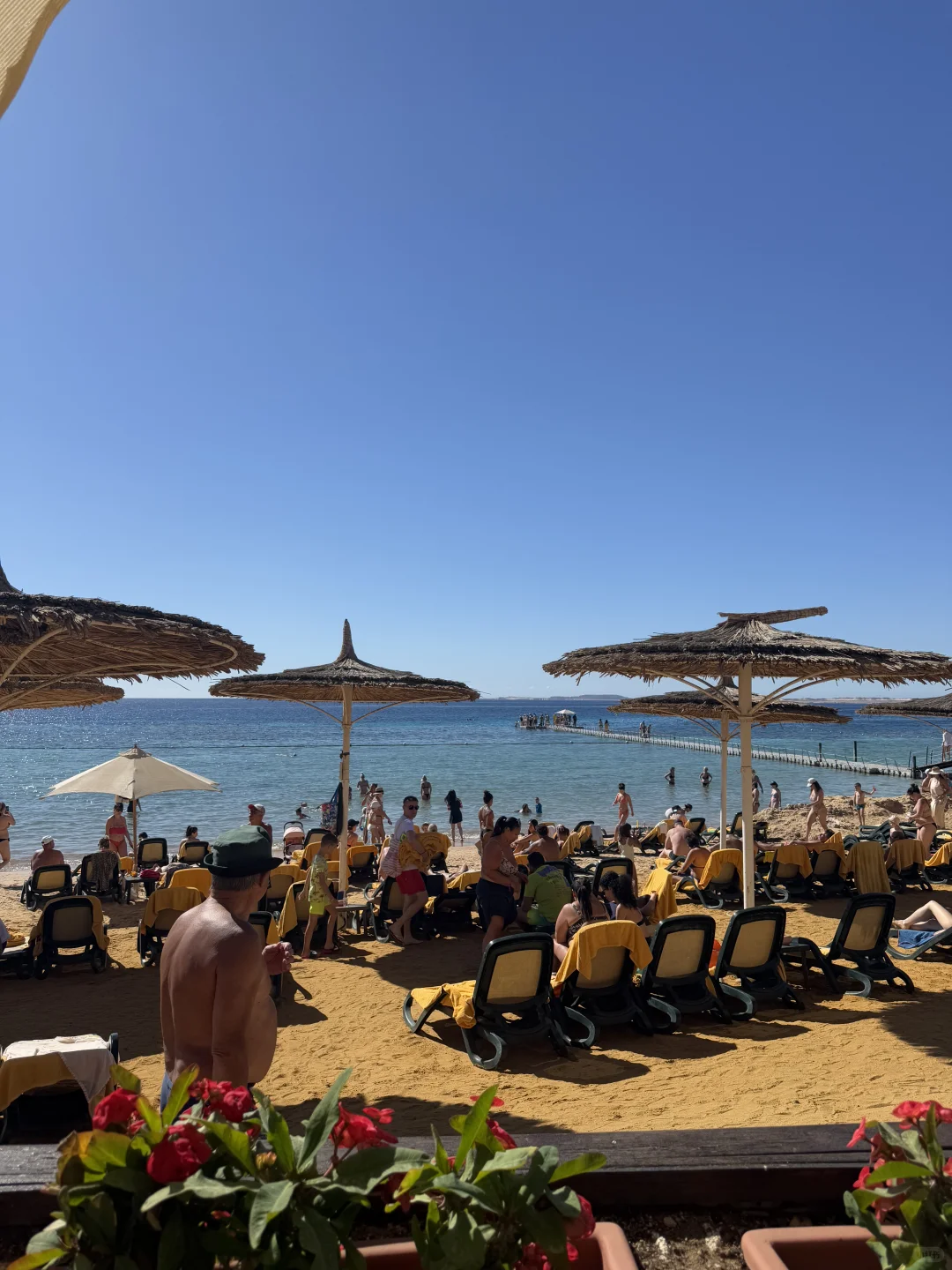 埃及🇪🇬一半沙漠🏜️一半海