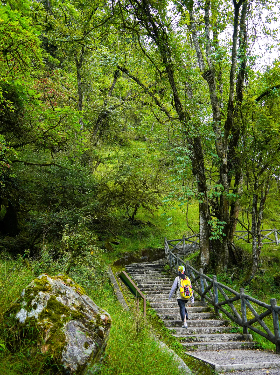 为了这18张图，我特意来了趟喇叭河！附机位