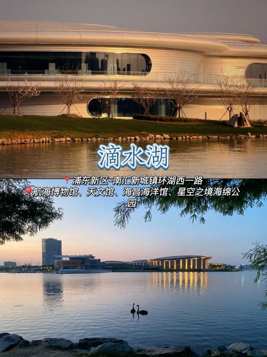 🆓上海13个能玩足一整天的免费景点🎉码住