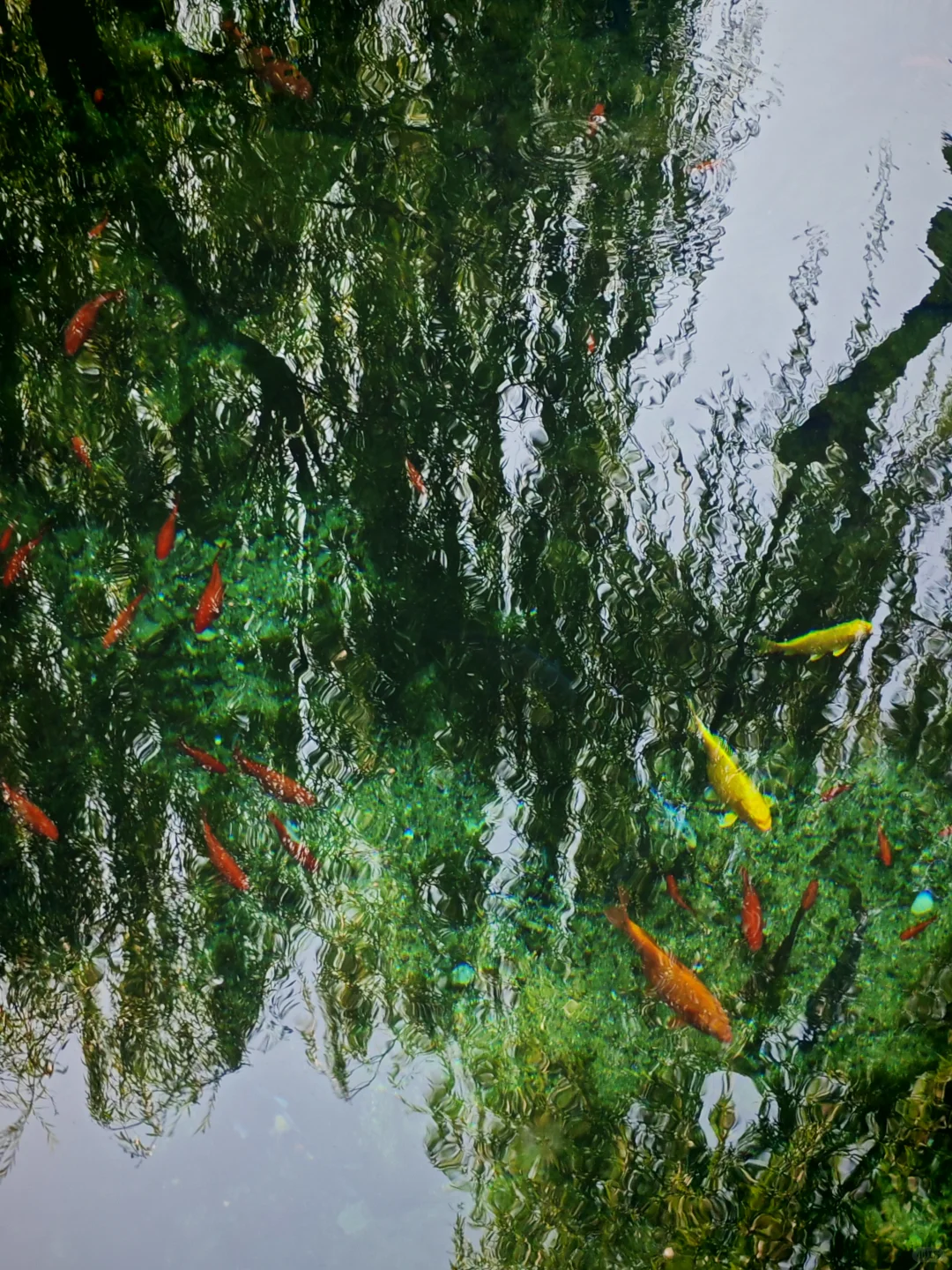 去之前不期待但后劲很大的城市｜看泉一日游