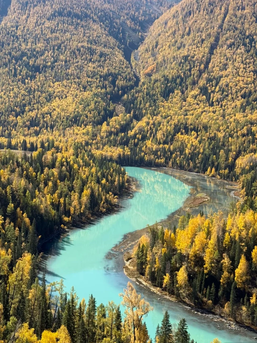10-11月国内遛娃赏秋🍁不容错过的9大天花板