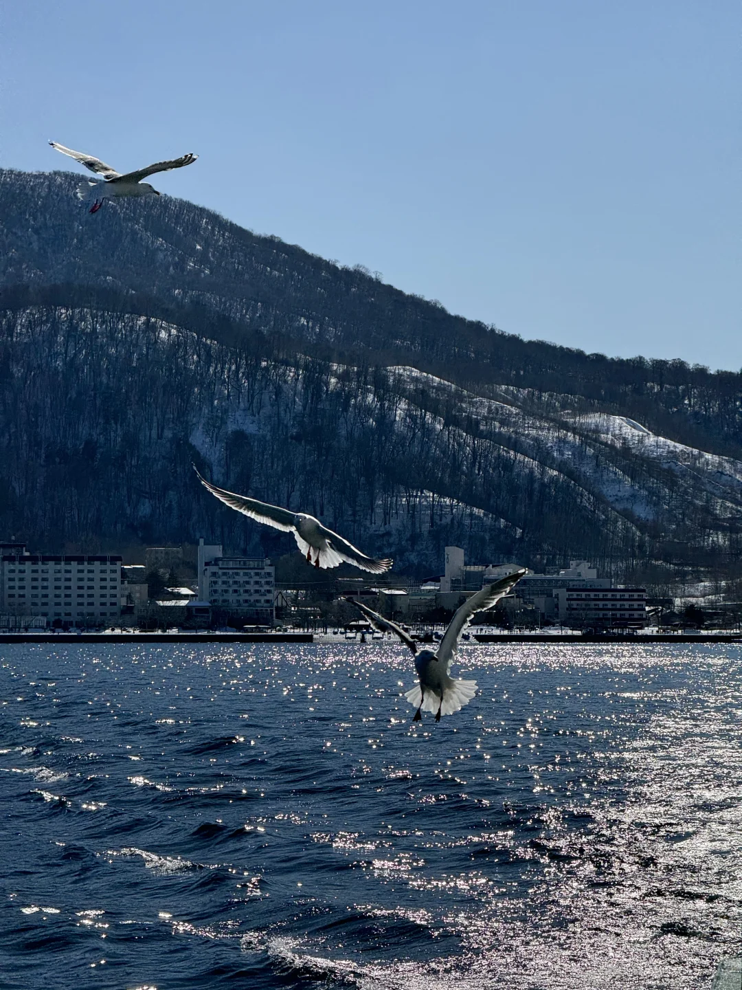 去北海道一定要去!!!!!!
