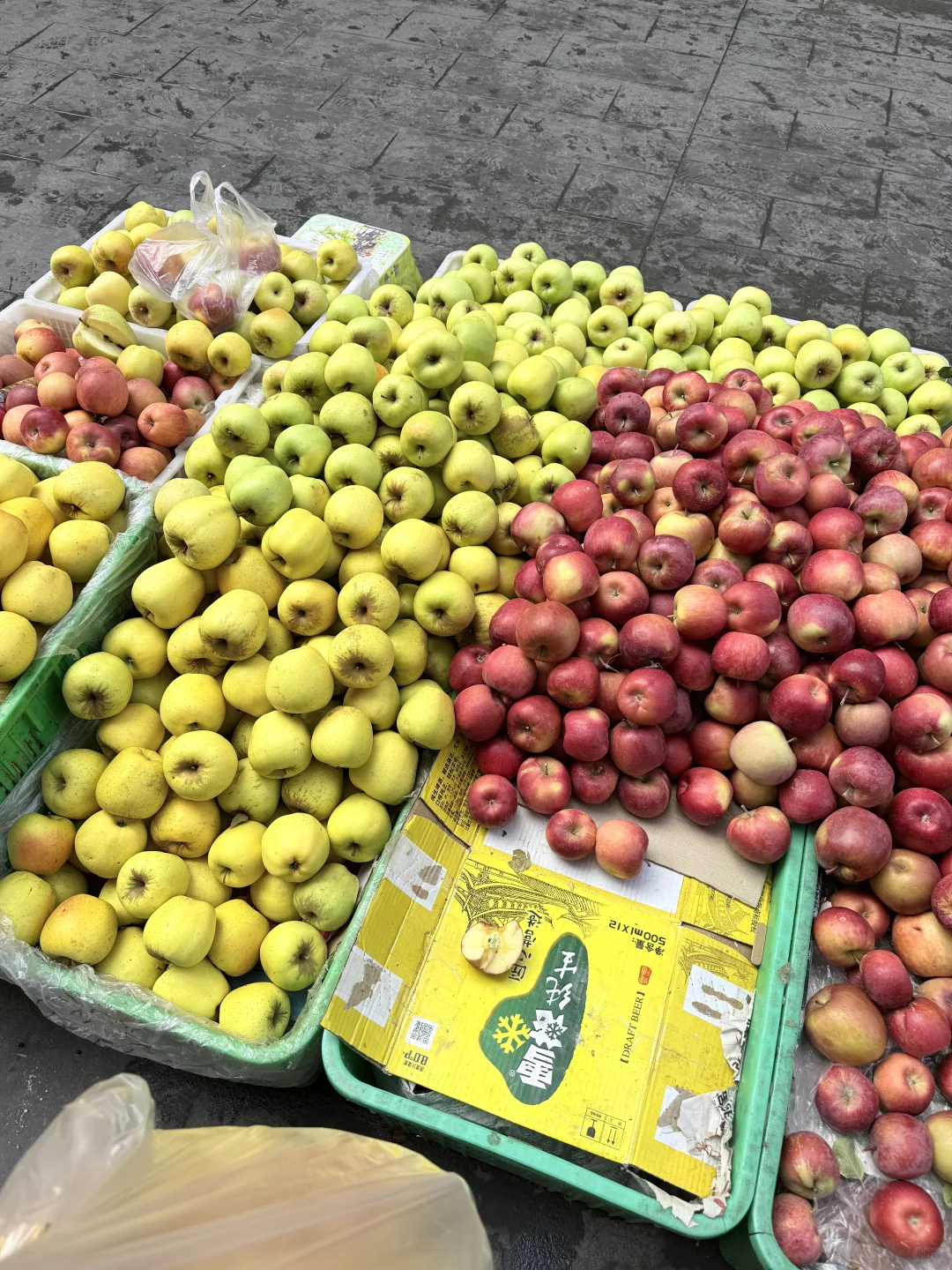 成都-毕棚沟-理小路2.5 日保姆级旅游攻略