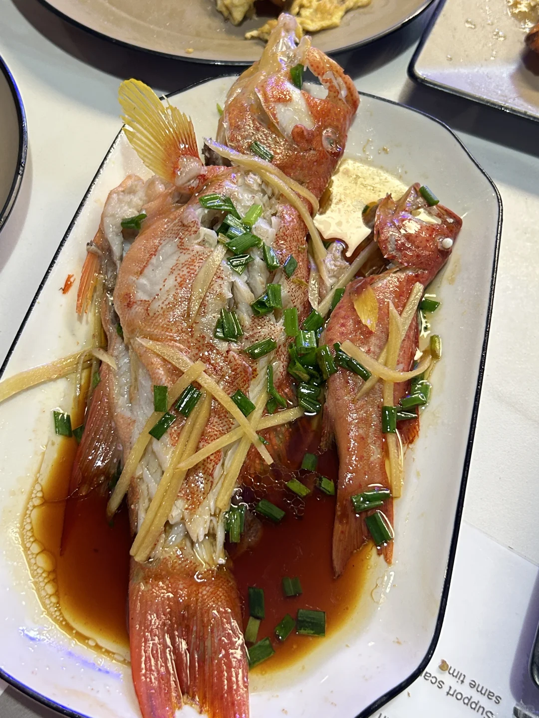 真心建议出国旅游不要过度焦虑…