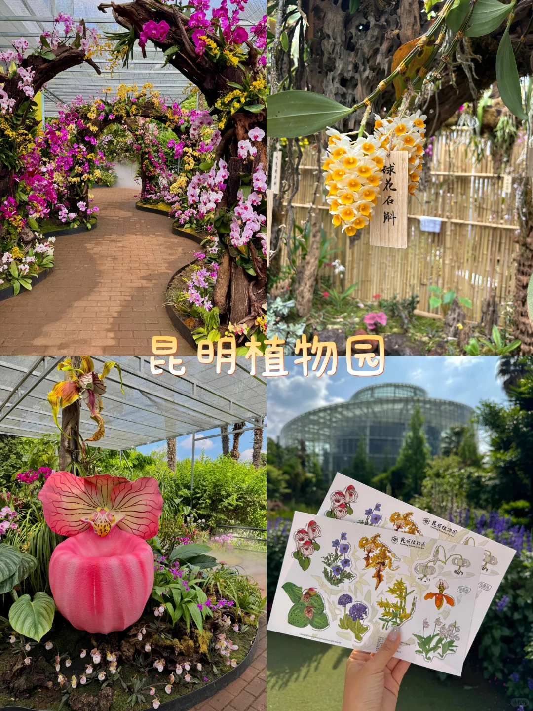 昆明9大宝藏地,会反复溜娃的9个地方✨