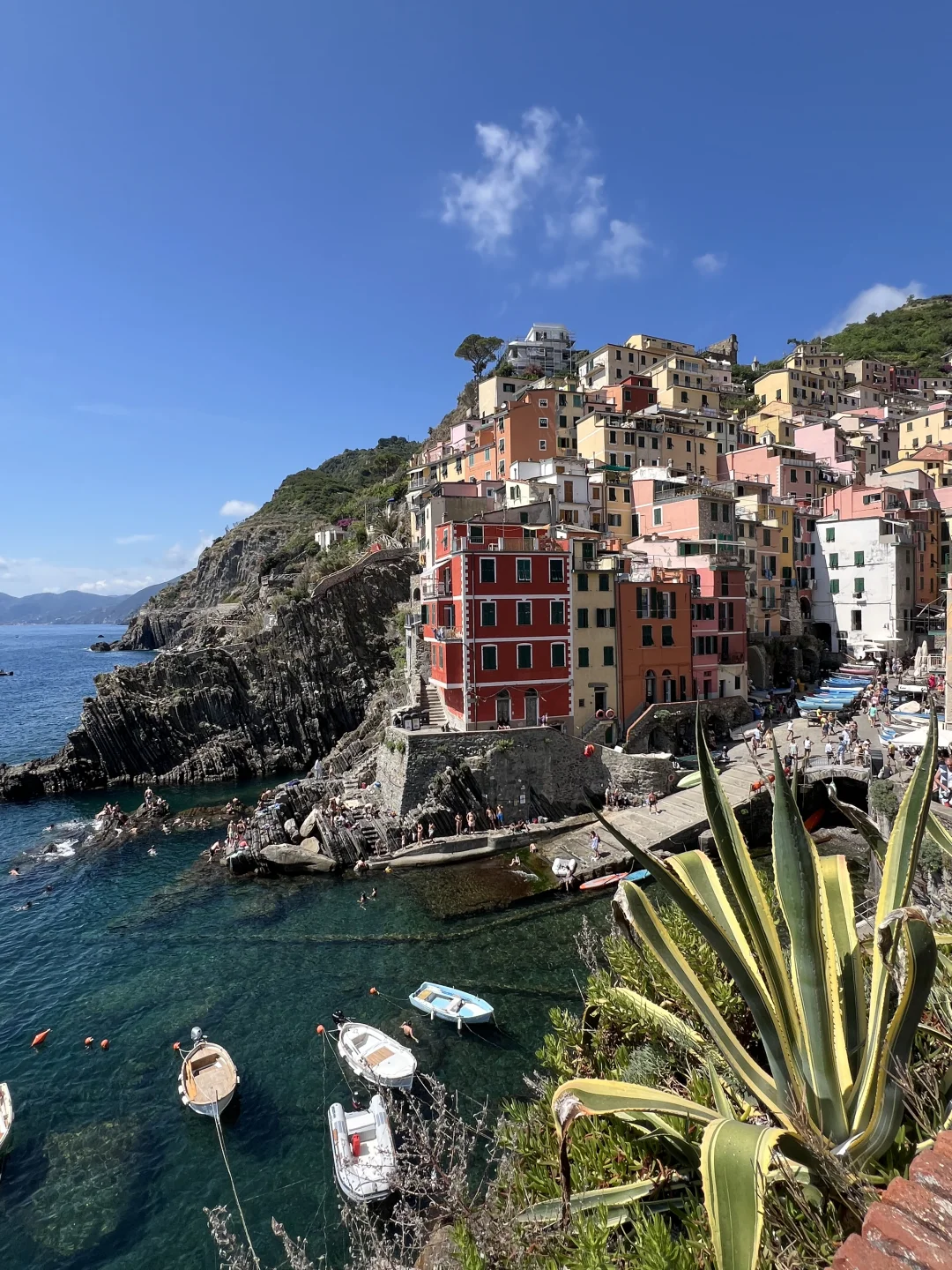 🇮🇹在意大利 找到了昆凌同款系列柠檬🍋