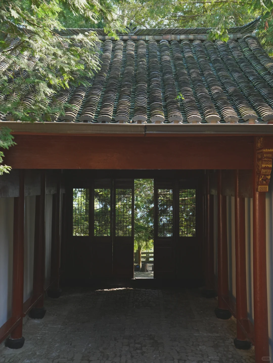 大树王国，拿下！