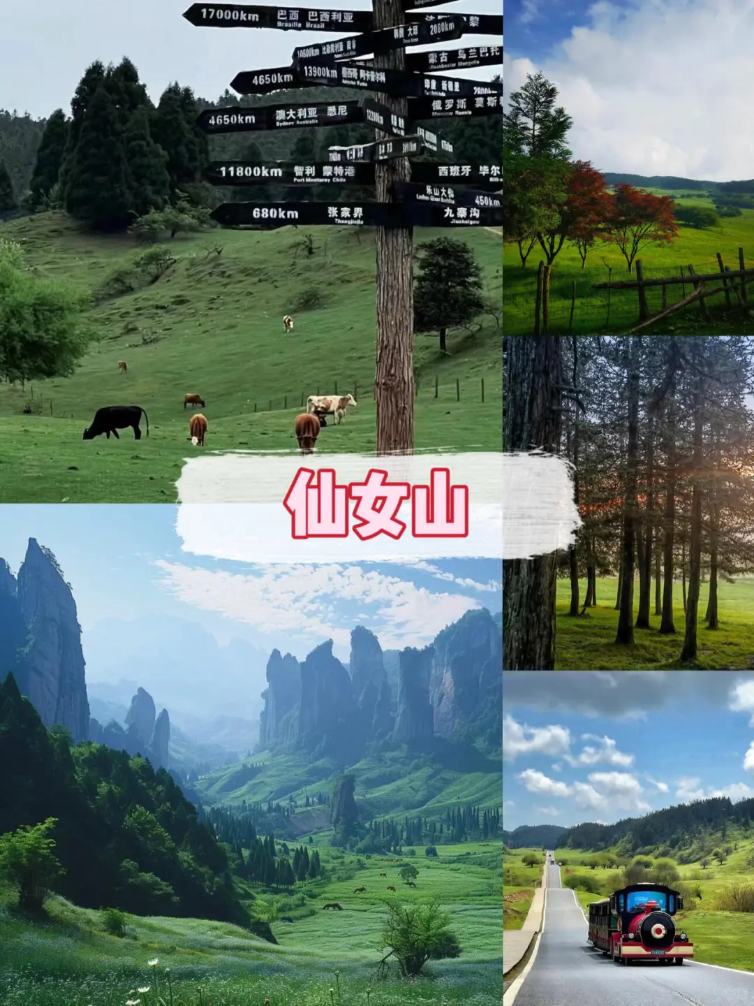 重庆旅游,纯玩4天3晚💰人均600+看完秒懂