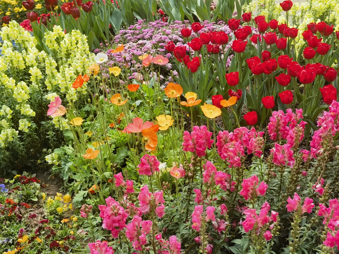 12个广州热门景点个人测评