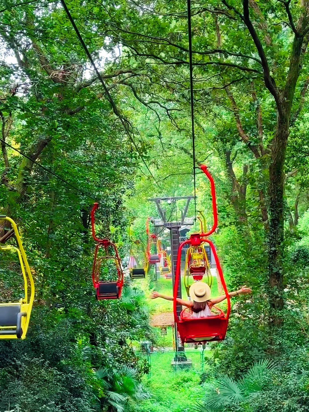 为了这1⃣️8⃣️张图，我飞了一趟南京！！！