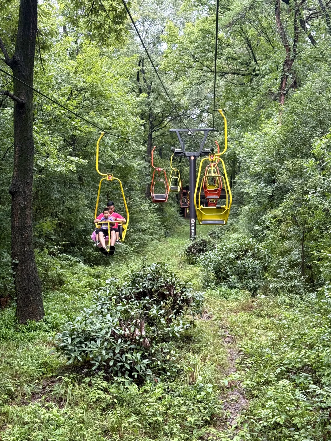 南京旅游攻略❗️❗️看这篇就够了❗️（附路线图）