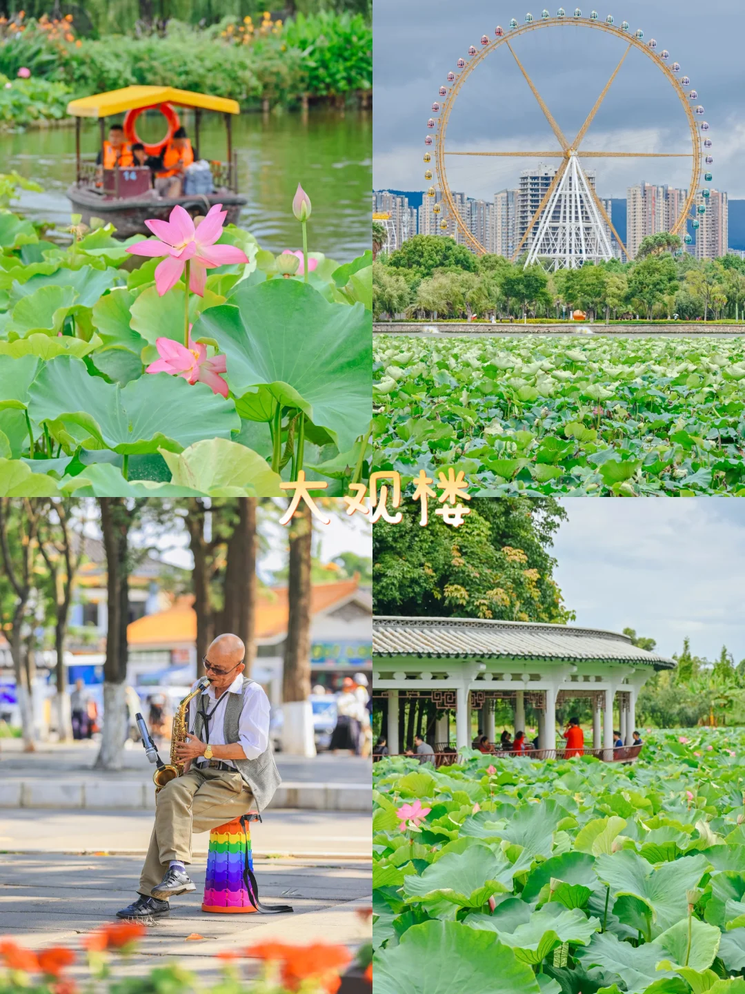 昆明9大宝藏地,会反复溜娃的9个地方✨