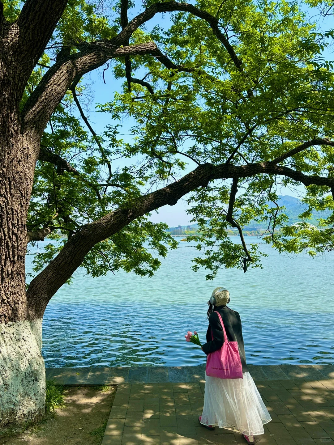 为了这1⃣️8⃣️张图，我飞了一趟南京！！！