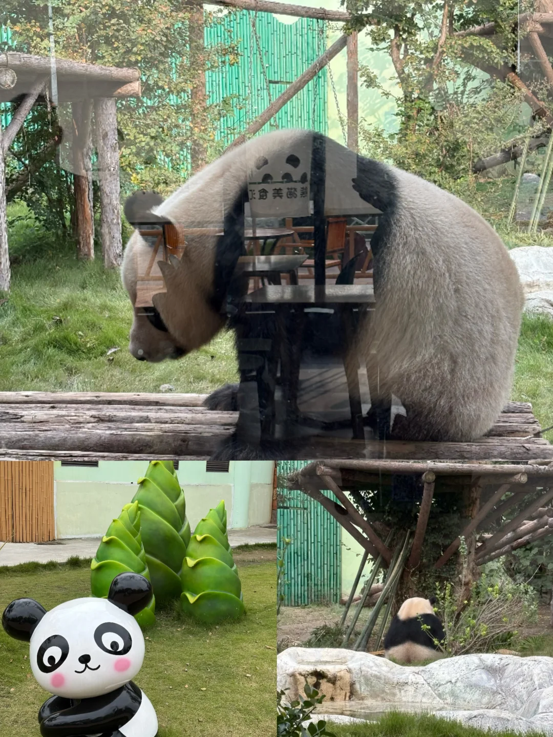 欧乐堡已回，北京出发3天2晚2岁+就这么玩
