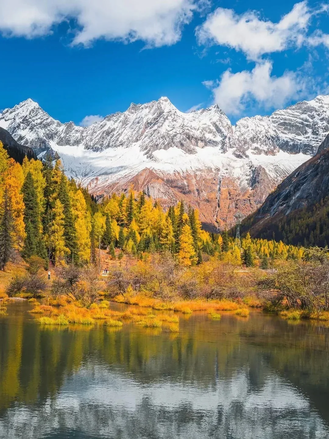 10.18📍四姑娘山现状，草已黄🍂要来的听劝……