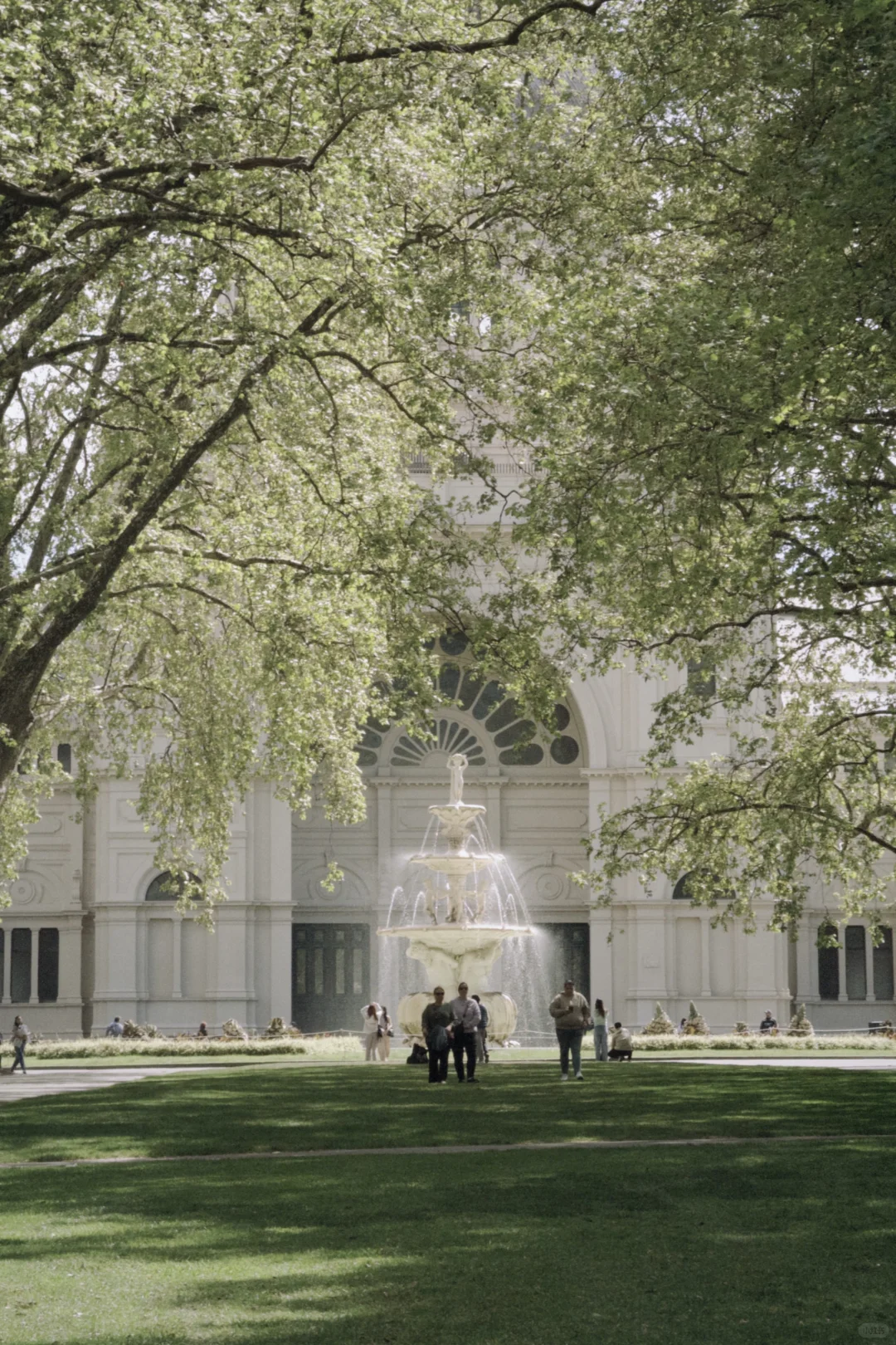 悉尼&墨尔本&奥克兰｜小众玩法推荐