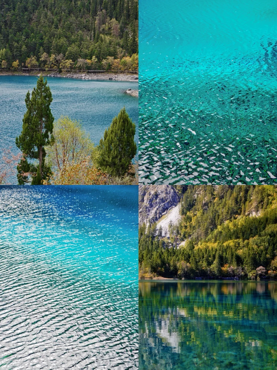 亲测90%的人都不知道的九寨沟新耍法