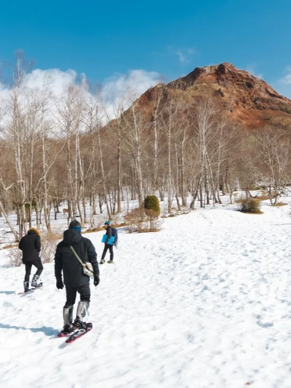 12-2月北海道❄️冬季旅游｜必打卡的9️⃣大景点