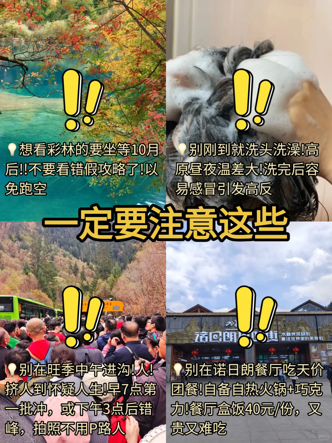 为什么我去九寨沟之前没刷到这篇😅
