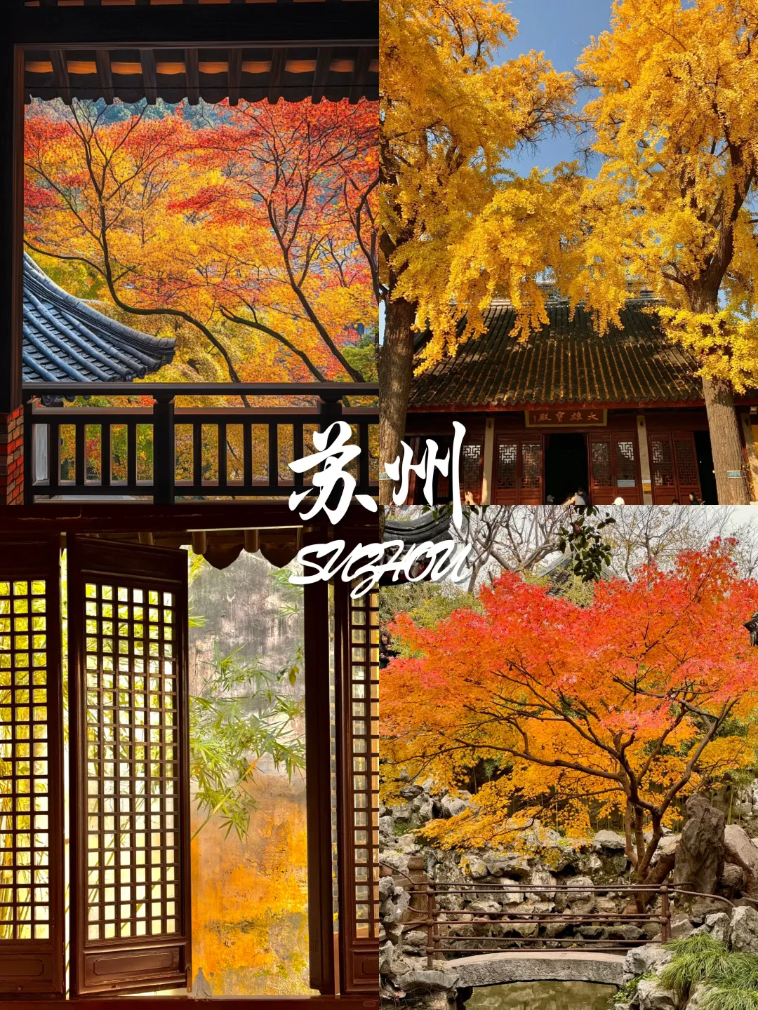 9-11月国内赏秋宝藏地推荐🍂 附观赏攻略