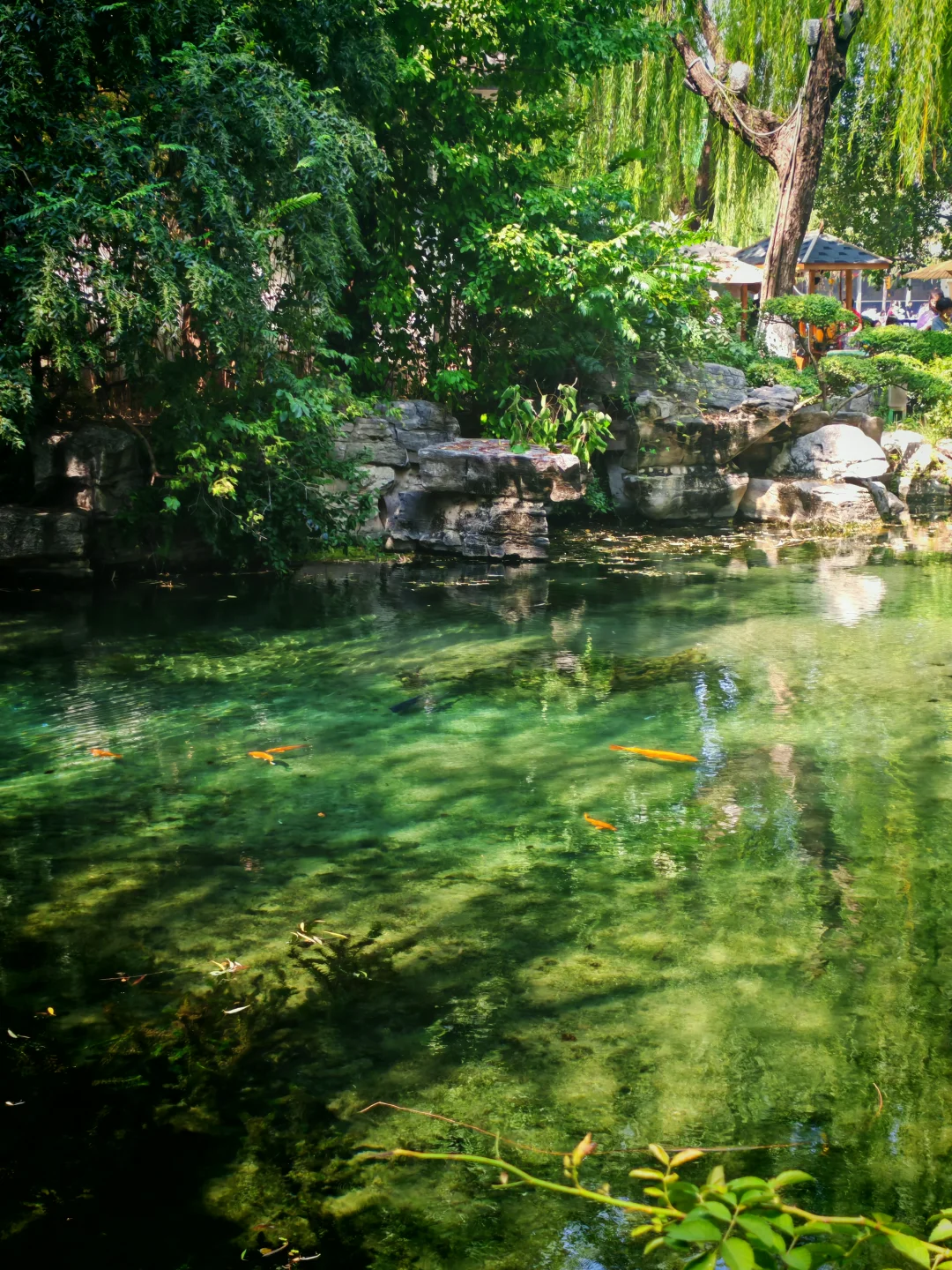 去之前不期待但后劲很大的城市｜看泉一日游
