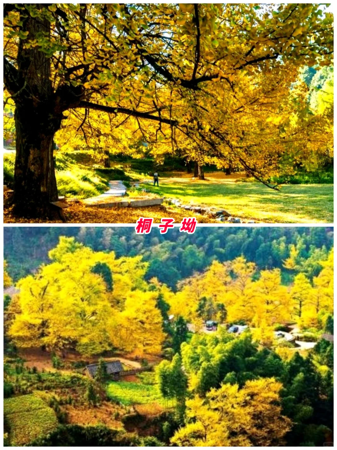 湖南旅游第9站 | 永州最值得去的8个景点‼