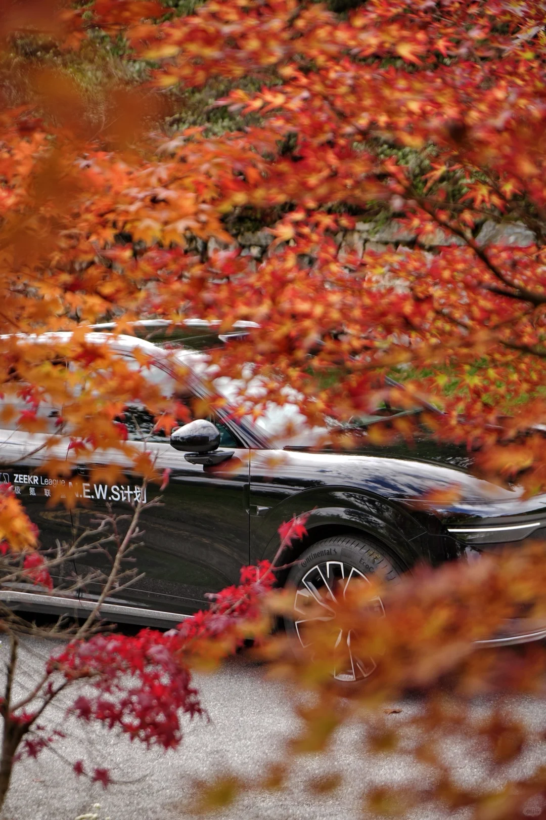 亲测90%的人都不知道的九寨沟新耍法