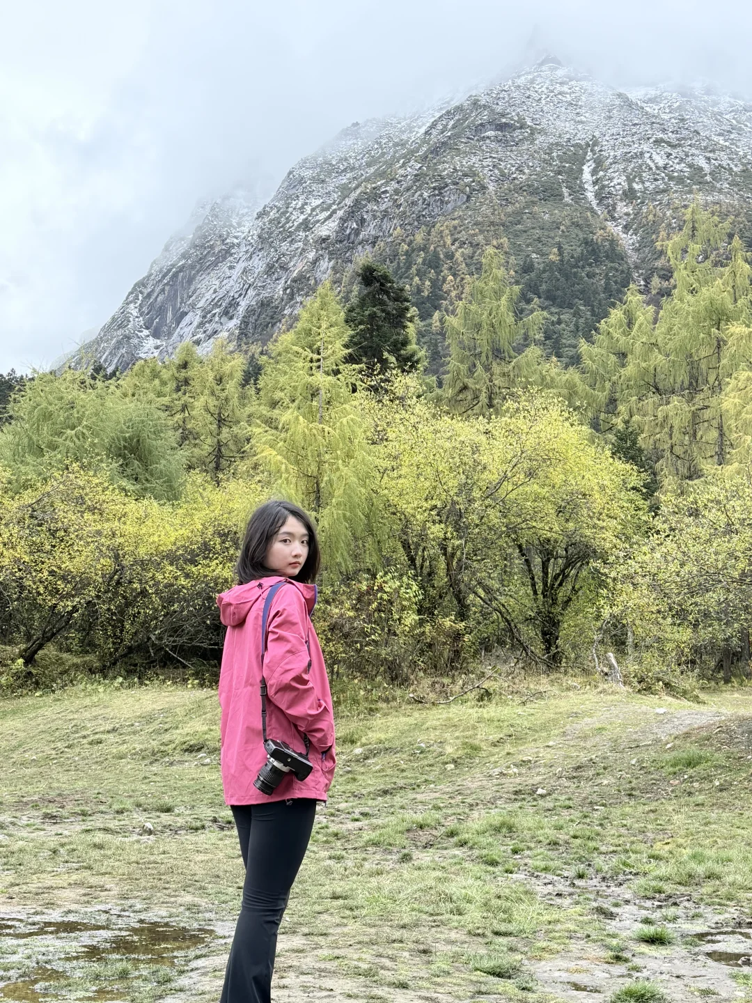 成都-毕棚沟-理小路2.5 日保姆级旅游攻略