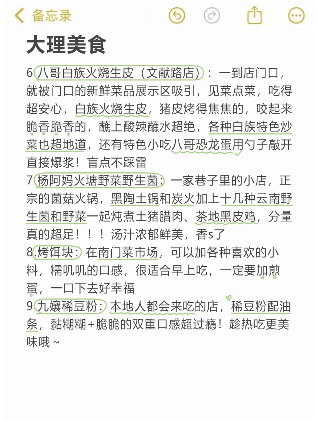 本J人手写的大理旅游攻略已经next level了