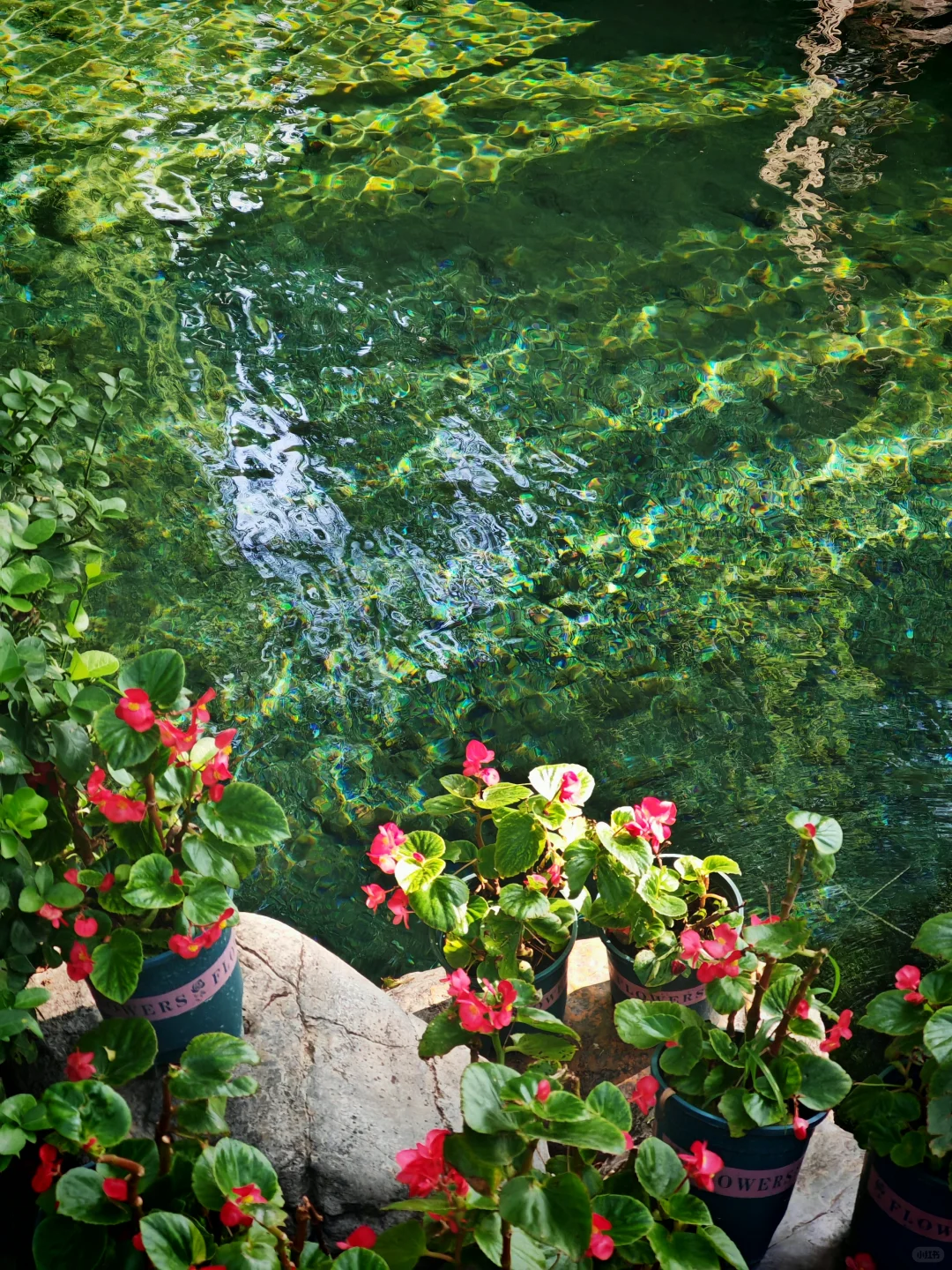 去之前不期待但后劲很大的城市｜看泉一日游