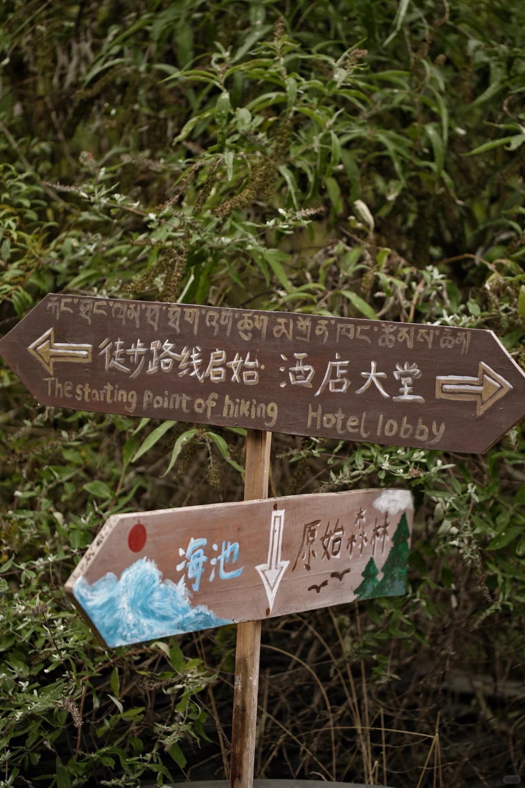 亲测90%的人都不知道的九寨沟新耍法