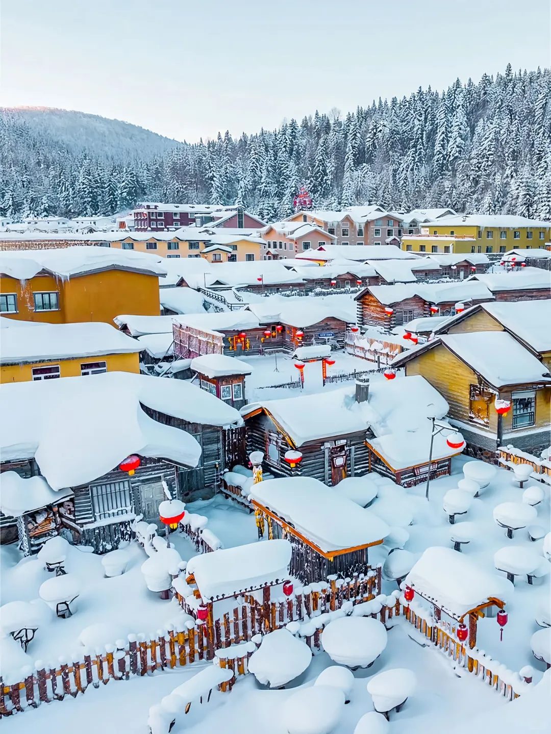 🌟哈尔滨雪乡旅游攻略❄️三天两晚景点路线