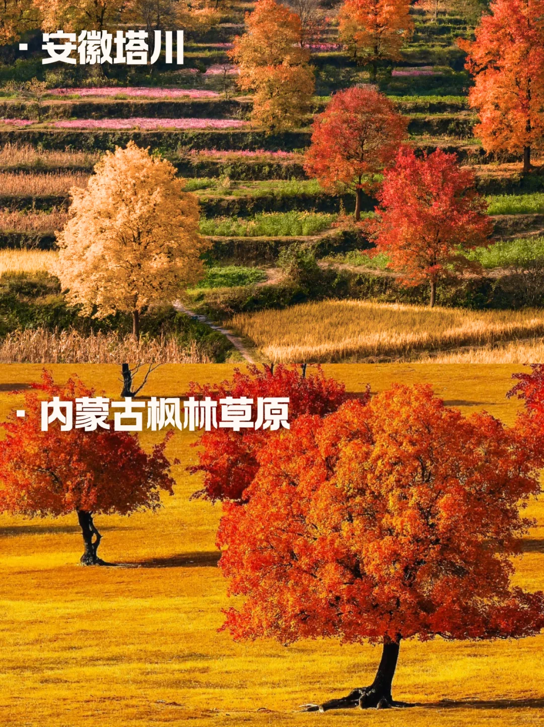 10月国内错峰赏秋😻十大红叶秘境任你选