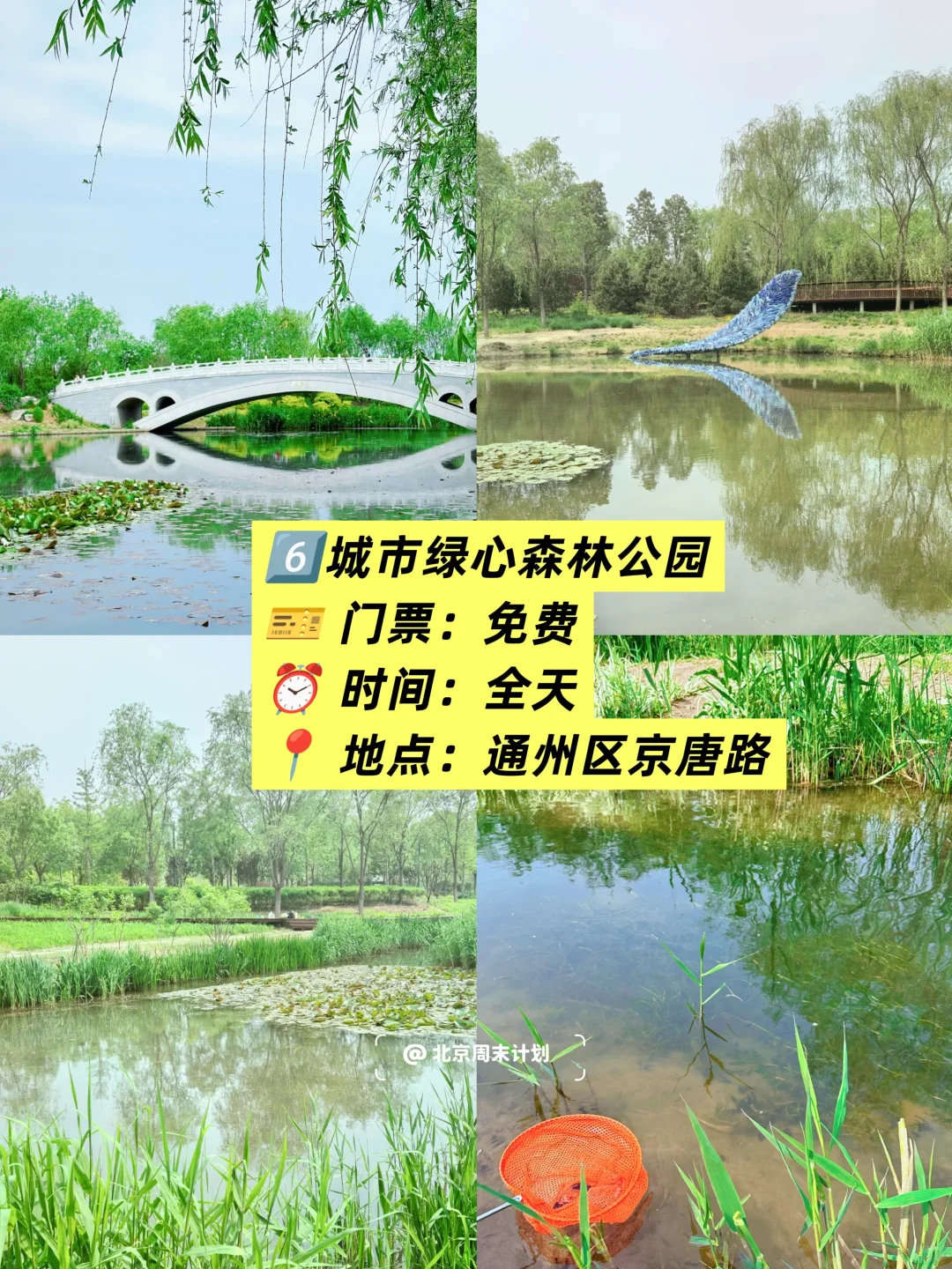 北京📍6个免费玩水公园｜北京周末去哪