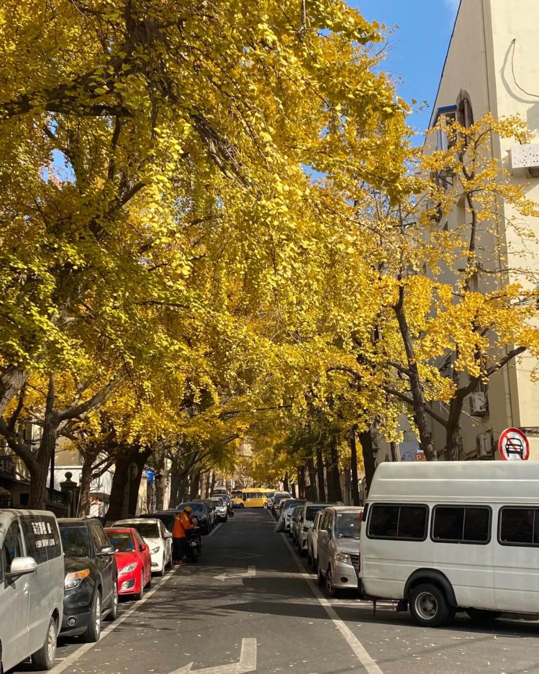 秋天将至🍁青岛即将变成这样……