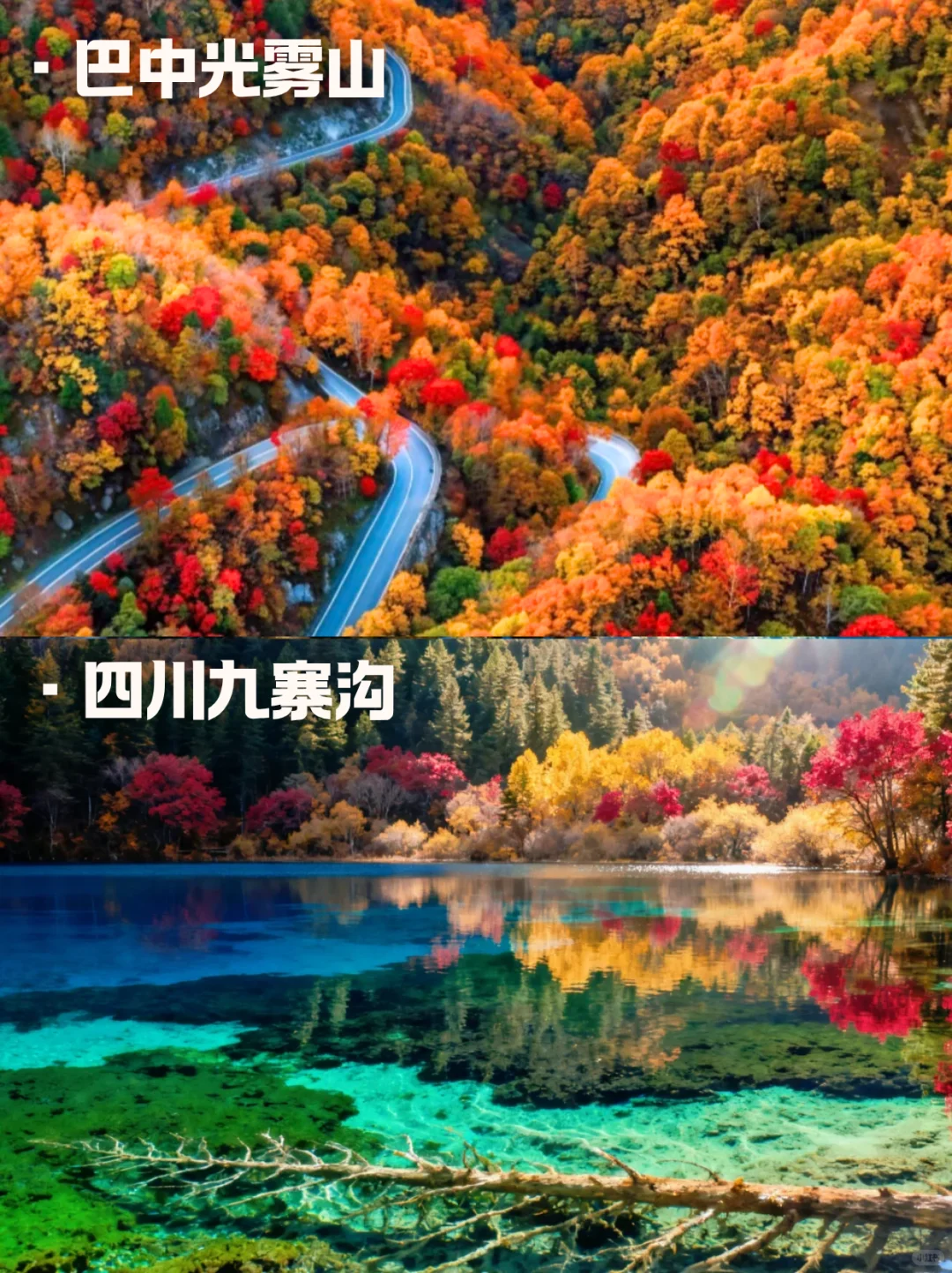 10月国内错峰赏秋😻十大红叶秘境任你选