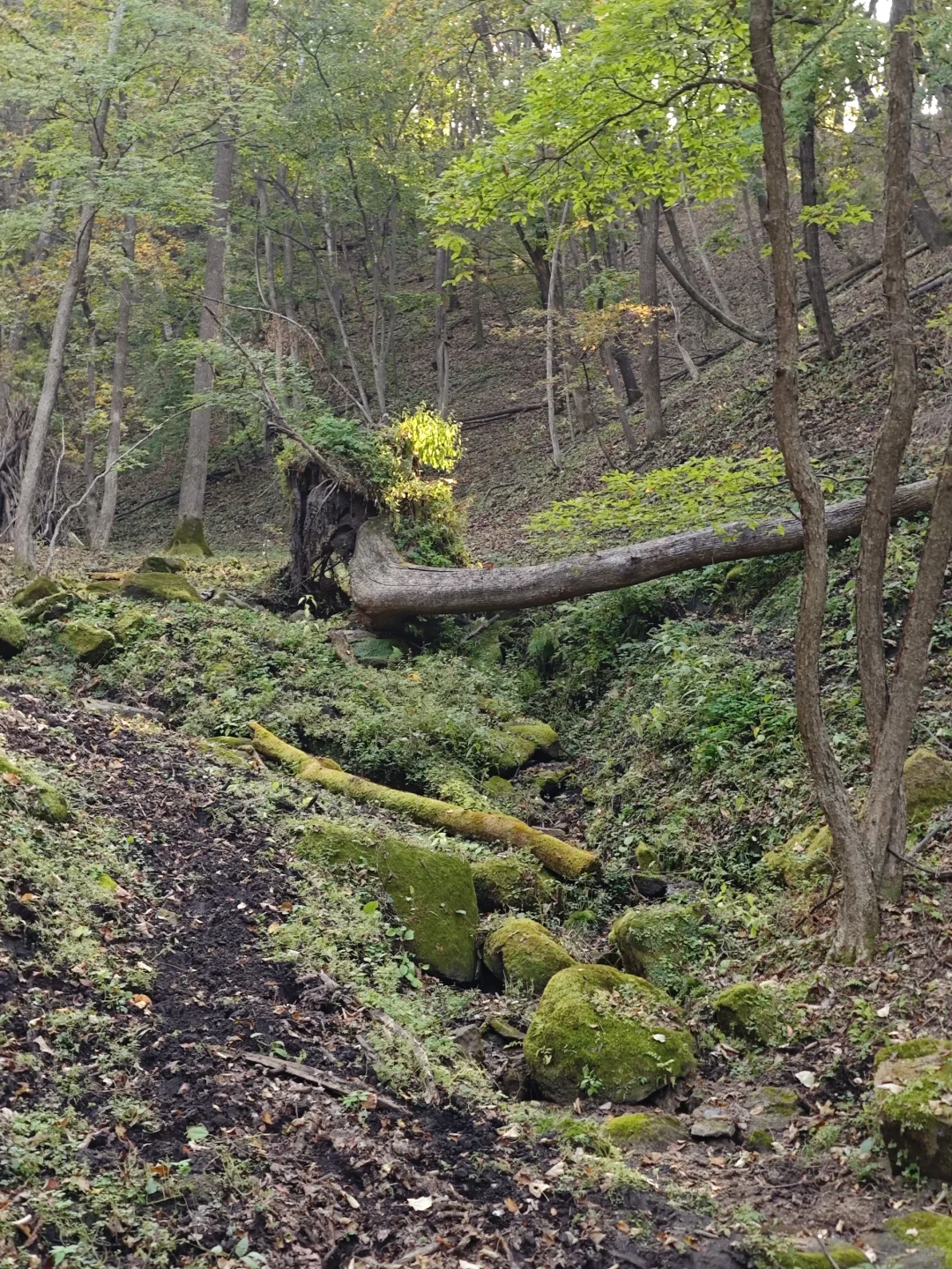 国庆长春周边游|吉林松花湖卧龙潭 人少!