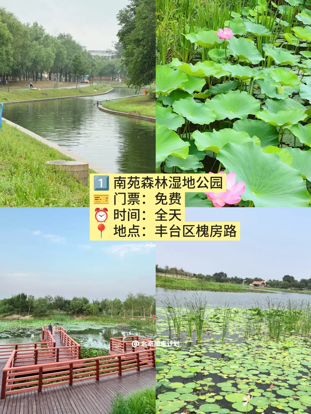 北京📍6个免费玩水公园｜北京周末去哪