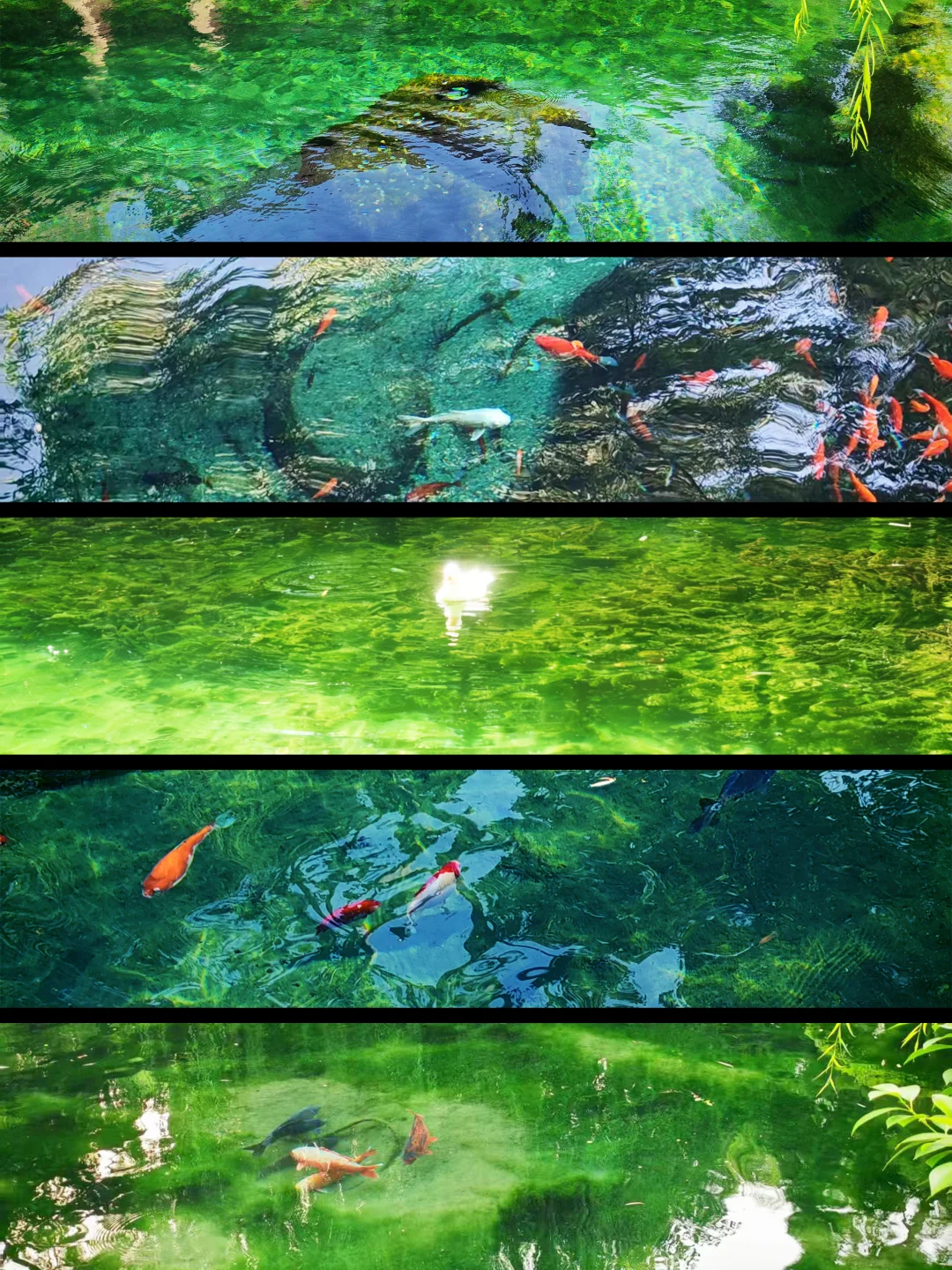 去之前不期待但后劲很大的城市｜看泉一日游