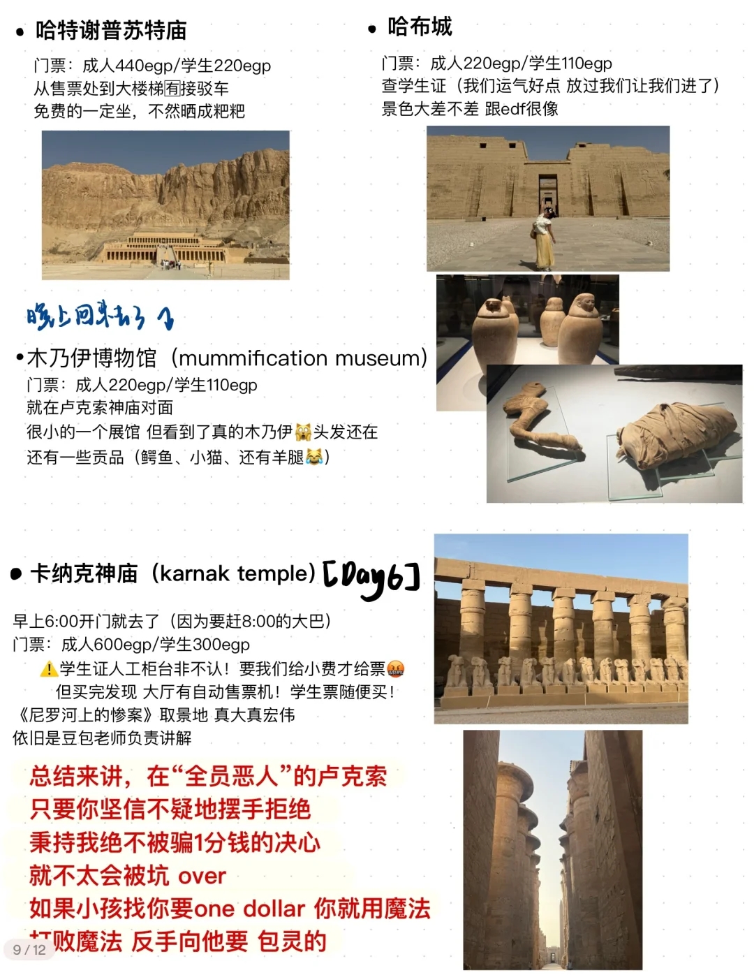 超全攻略🥰来埃及只看这一篇就够了！