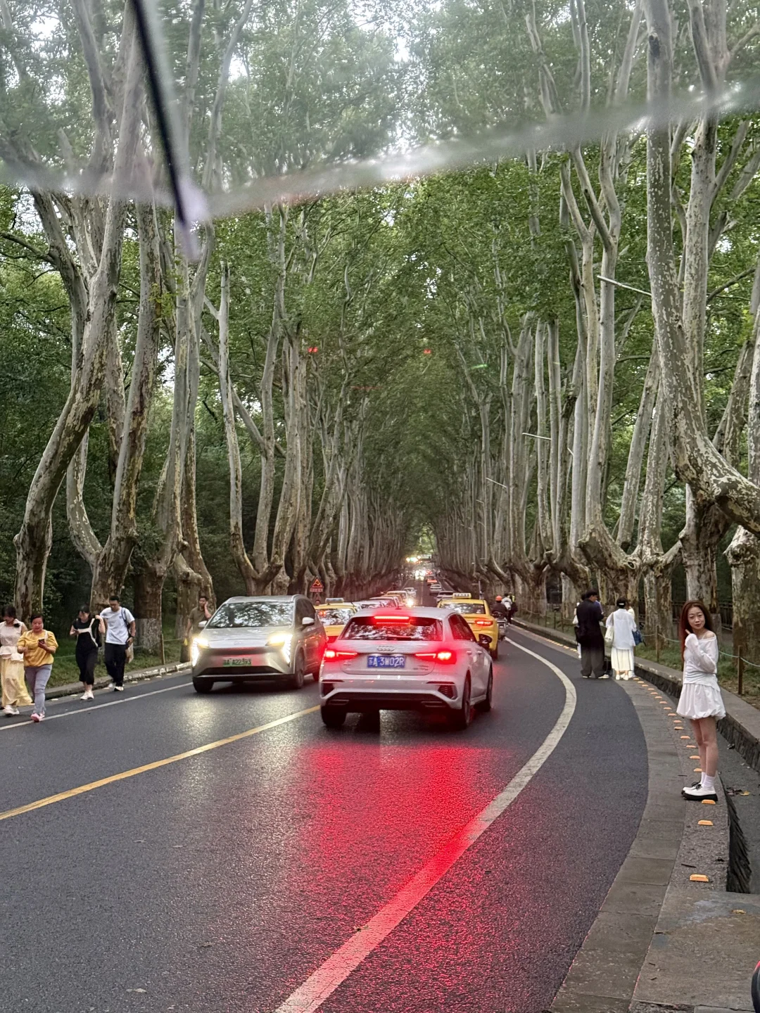 南京旅游攻略❗️❗️看这篇就够了❗️（附路线图）