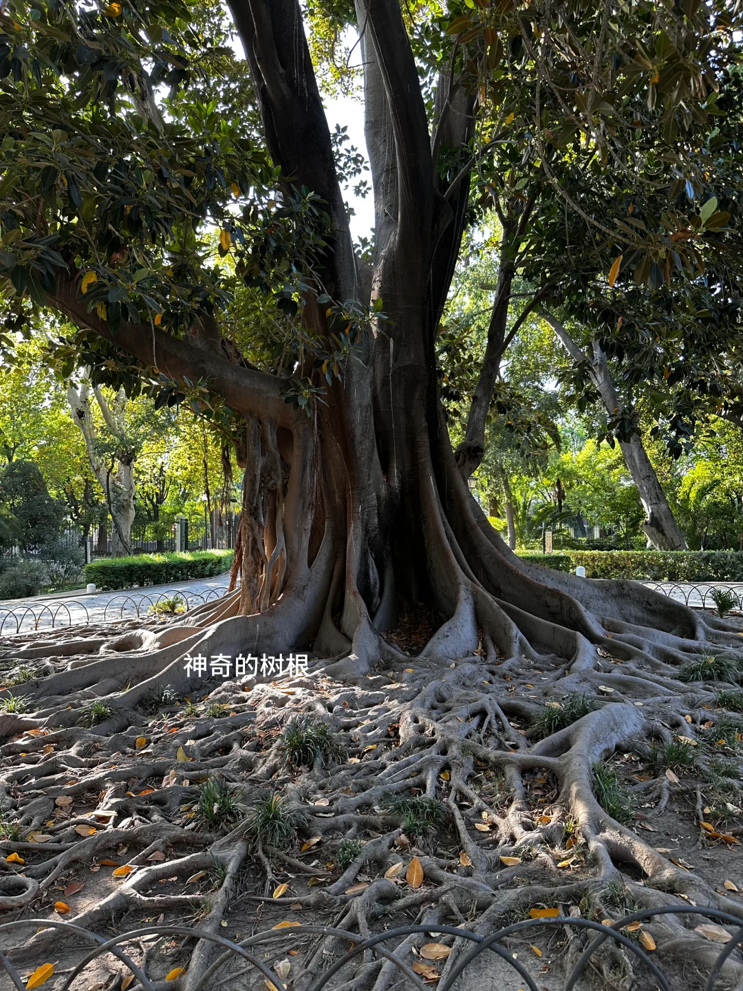 当女孩子决定一个人游欧洲～