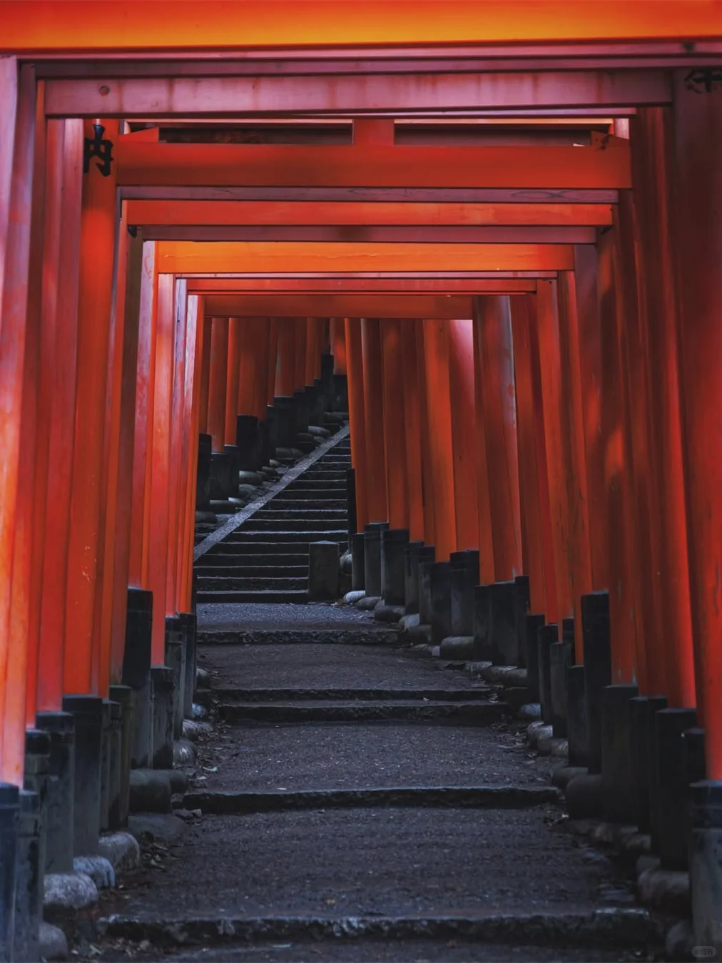 京都奈良轻松一日游攻略！🚗接送不暴走❗