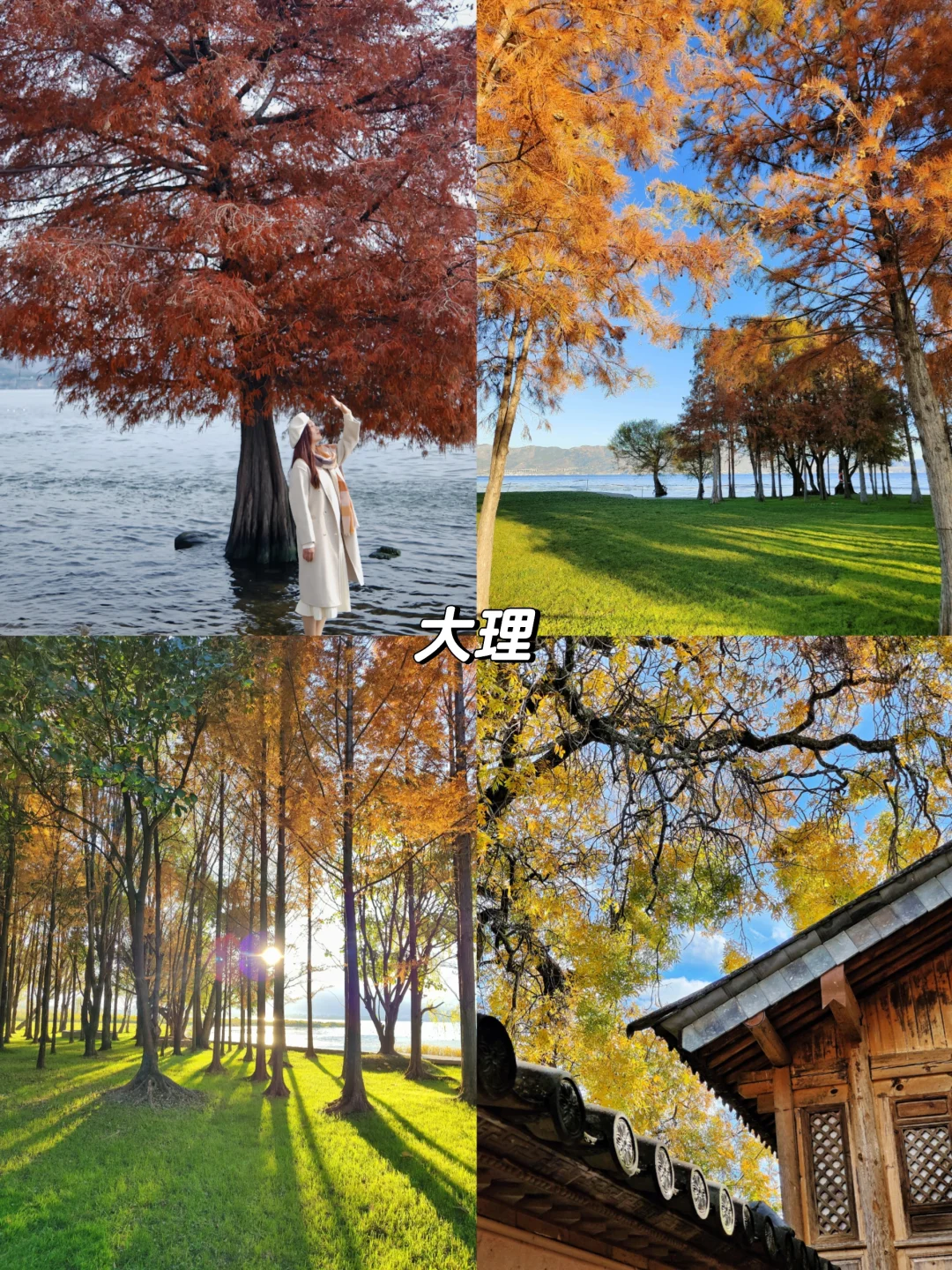 🍁推荐国内10个绝美赏秋旅行地 🍂