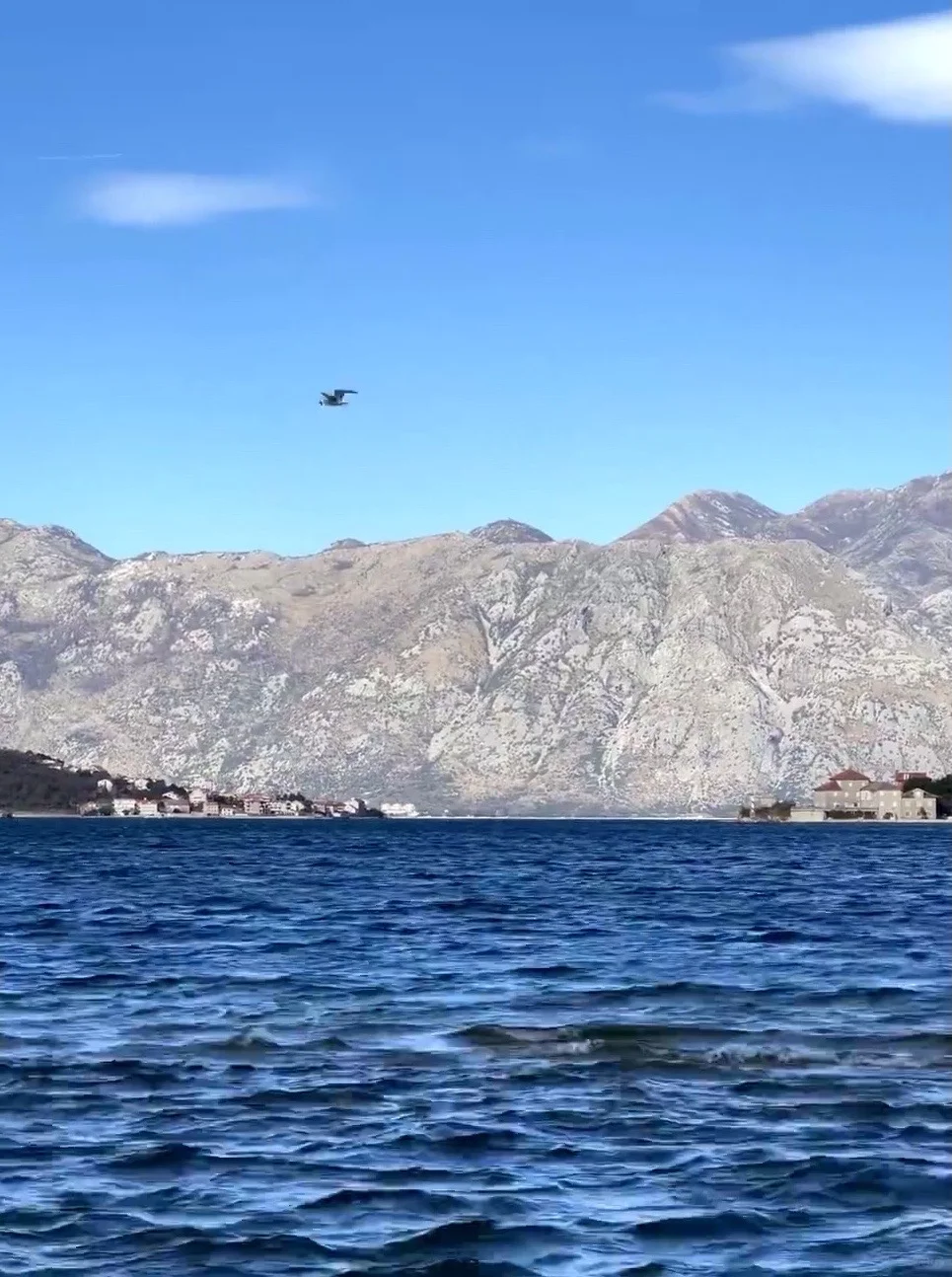 😭春节就该塞波黑🇪🇸比三亚香1万倍