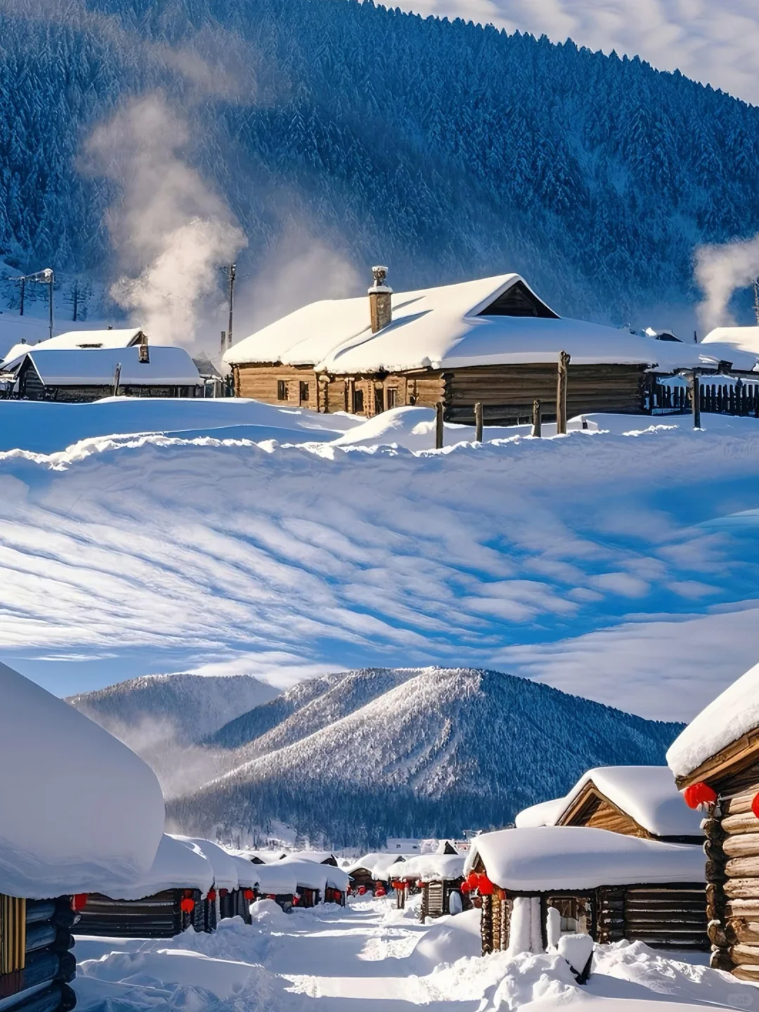 问疯了😭哈尔滨旅游当地团💥1580+搞定