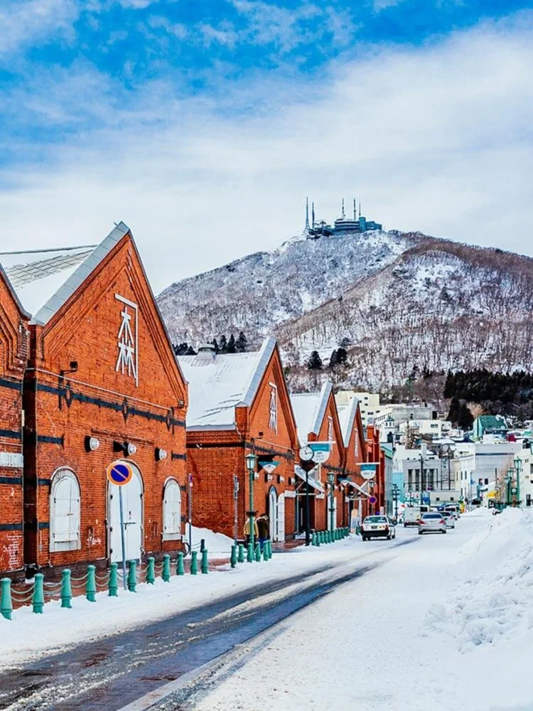 12-2月北海道❄️冬季旅游｜必打卡的9️⃣大景点