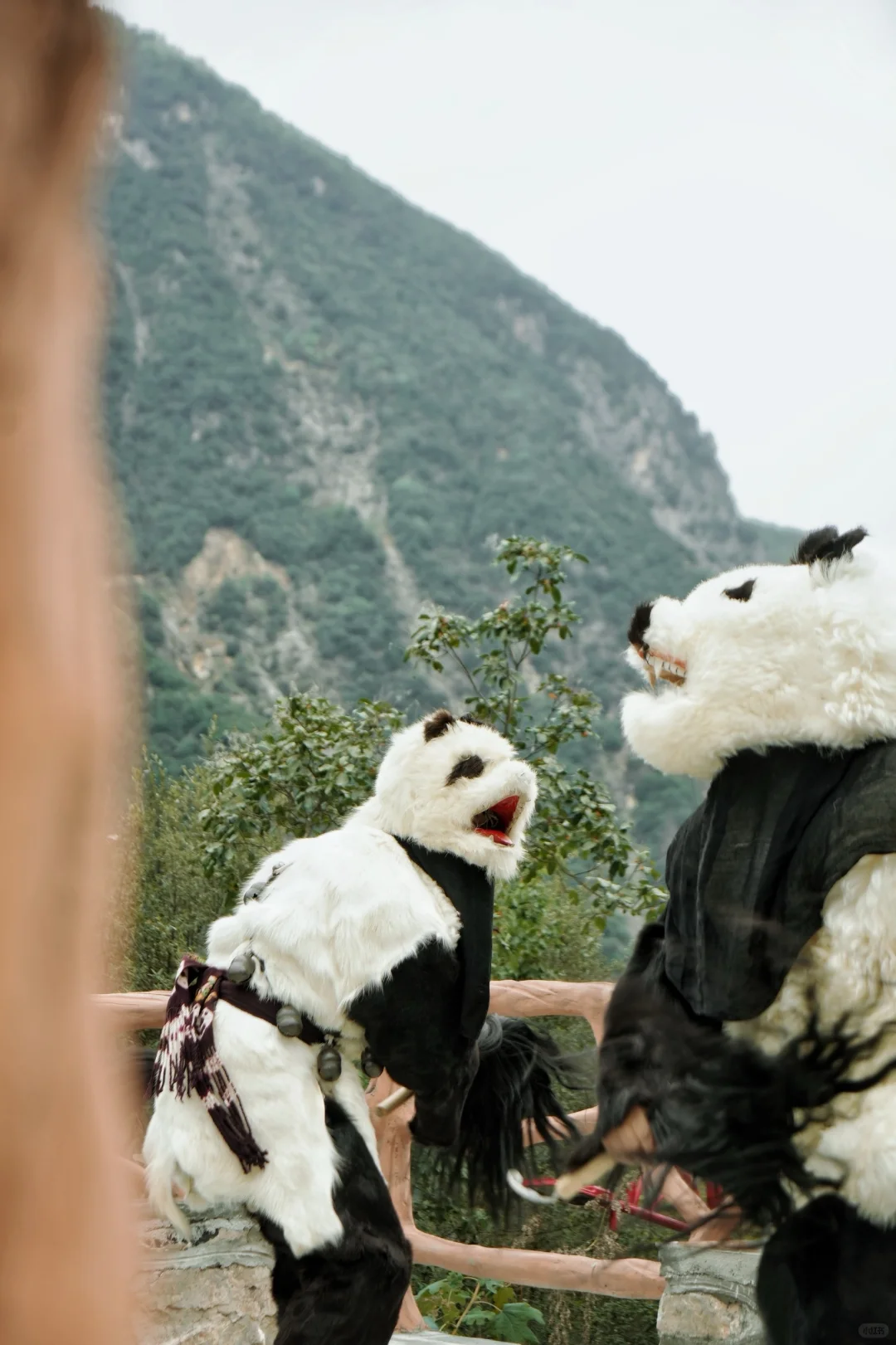 亲测90%的人都不知道的九寨沟新耍法